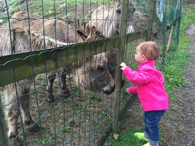 Kid friendly animal activities at Casa Cima, Lake Lugano